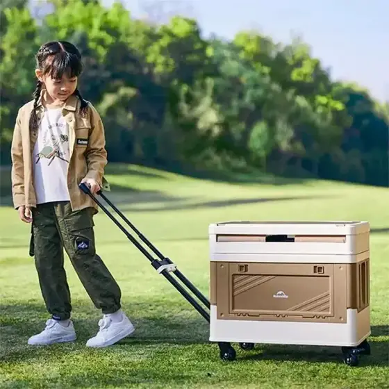 جعبه چرخ‌دار ذخیره‌سازی نیچرهایک مدل CNK2350XB012
